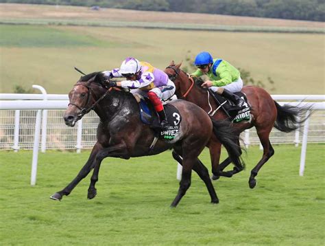 irish horse racing commentary|Horse Racing Fast Results, Cards, Betting & News .
